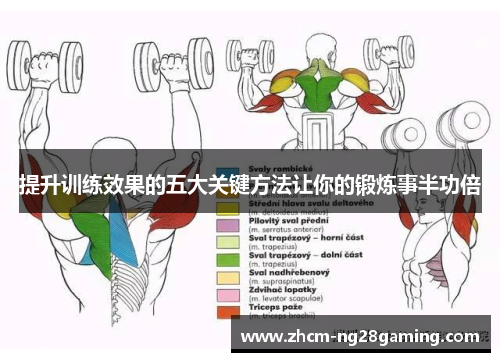 提升训练效果的五大关键方法让你的锻炼事半功倍