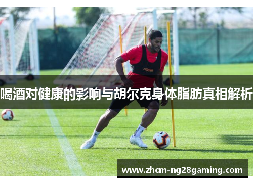 喝酒对健康的影响与胡尔克身体脂肪真相解析