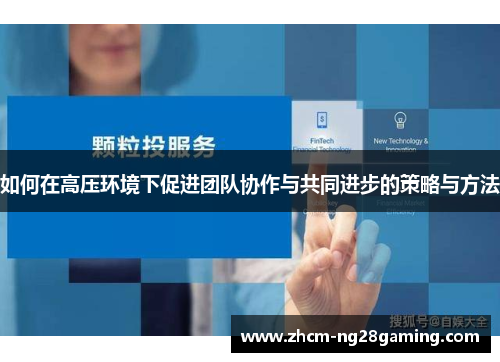 如何在高压环境下促进团队协作与共同进步的策略与方法