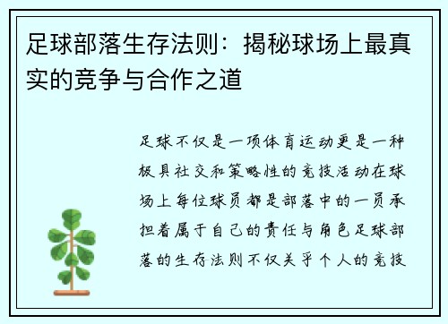足球部落生存法则：揭秘球场上最真实的竞争与合作之道