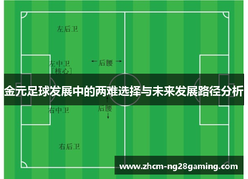 金元足球发展中的两难选择与未来发展路径分析