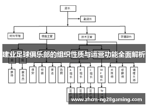 建业足球俱乐部的组织性质与运营功能全面解析