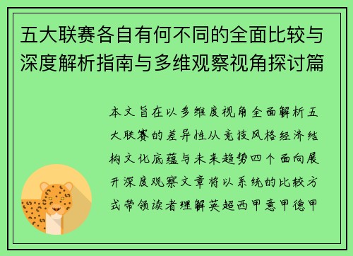 五大联赛各自有何不同的全面比较与深度解析指南与多维观察视角探讨篇