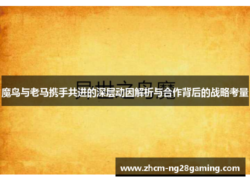 魔鸟与老马携手共进的深层动因解析与合作背后的战略考量